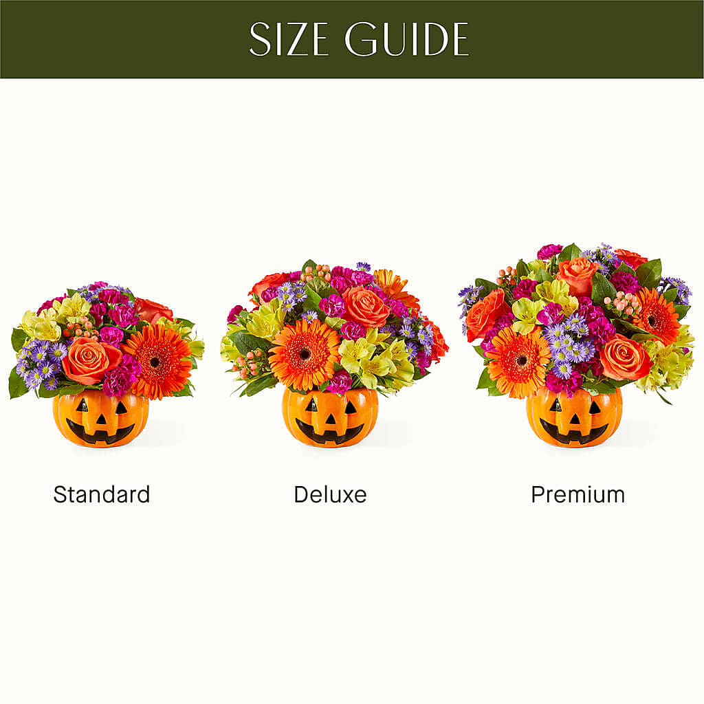 Tricks & Treats Pumpkin – BELKY'S FLORIST, Rock Hill SC
