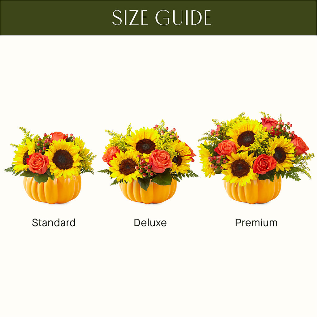 Pick of the Patch Pumpkin Bouquet – BELKY'S FLORIST, Rock Hill SC