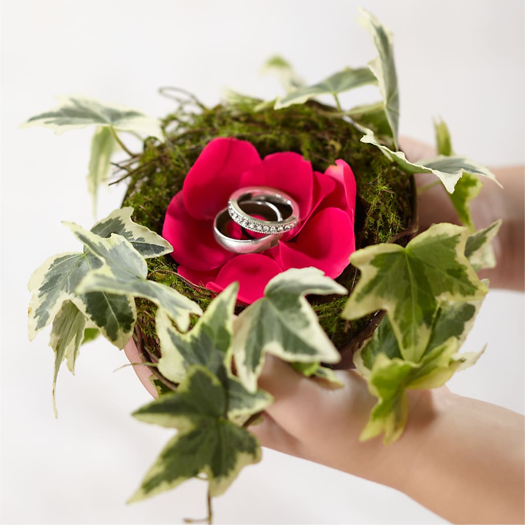 Lila Rose Ring Nest – BELKY'S FLORIST, Rock Hill SC
