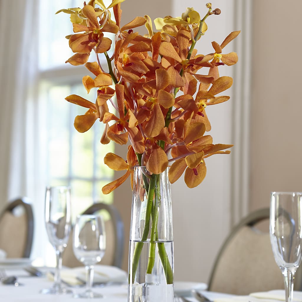 Orange Mokara Bud Vase – BELKY'S FLORIST, Rock Hill SC