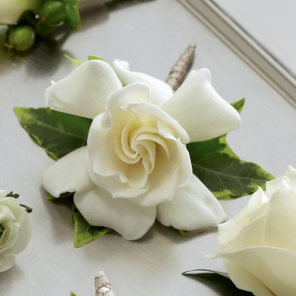 Gardenia Boutonniere – BELKY'S FLORIST, Rock Hill SC