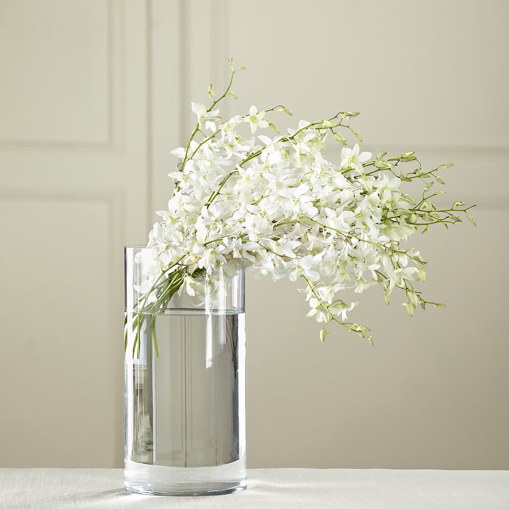 White Dendrobium Bouquet – BELKY'S FLORIST, Rock Hill SC