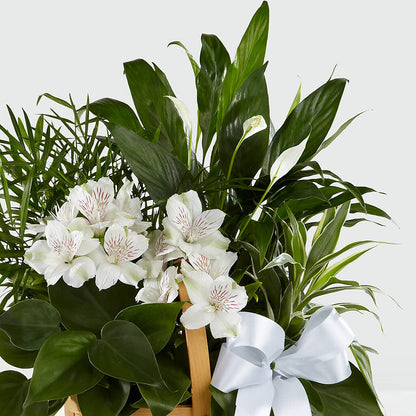 Peace & Serenity Dishgarden – BELKY'S FLORIST, Rock Hill SC