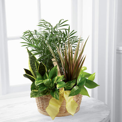 French Garden – BELKY'S FLORIST, Rock Hill SC