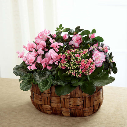 Pink Assortment – BELKY'S FLORIST, Rock Hill SC