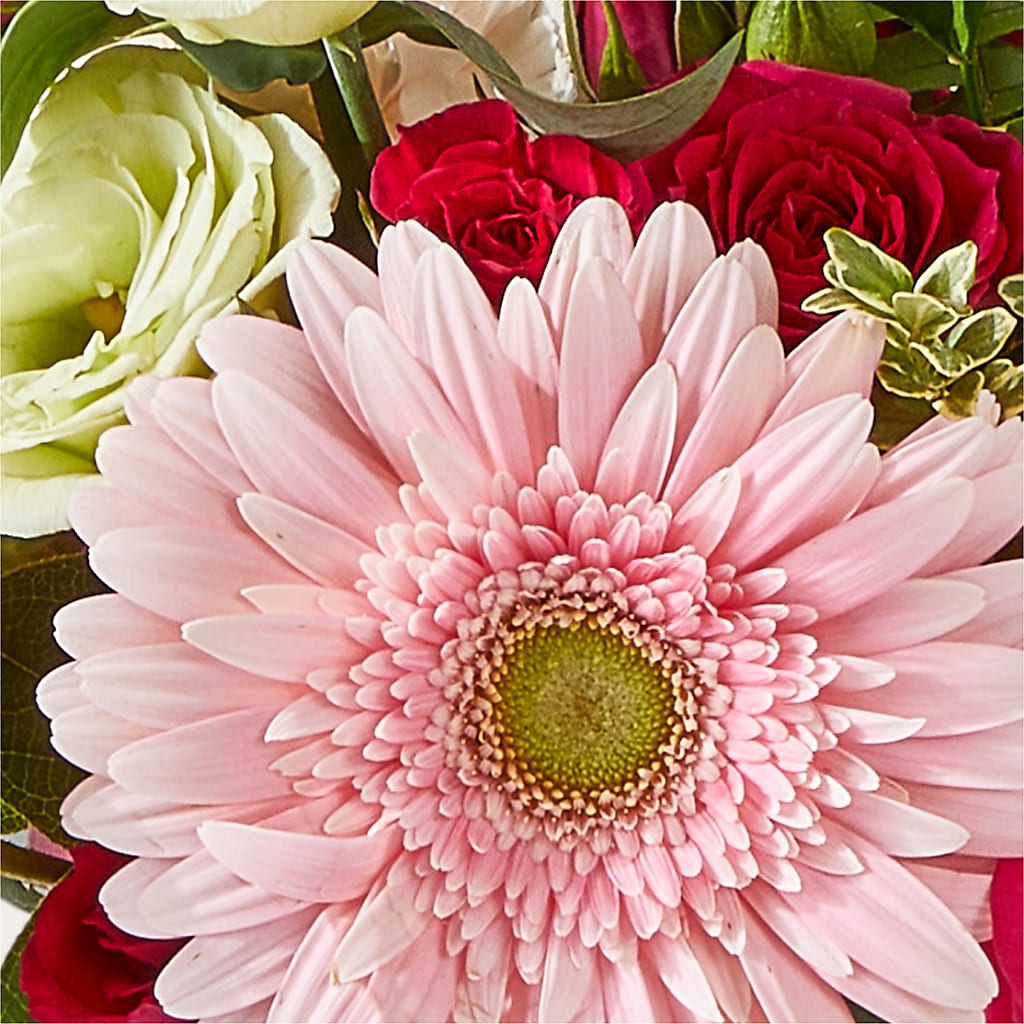 Too Cute Bouquet – BELKY'S FLORIST, Rock Hill SC