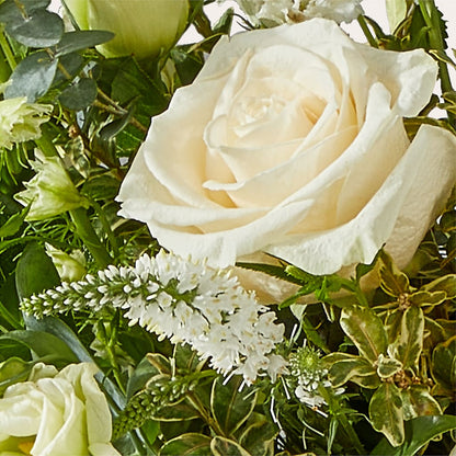 Cashmere Bouquet – BELKY'S FLORIST, Rock Hill SC
