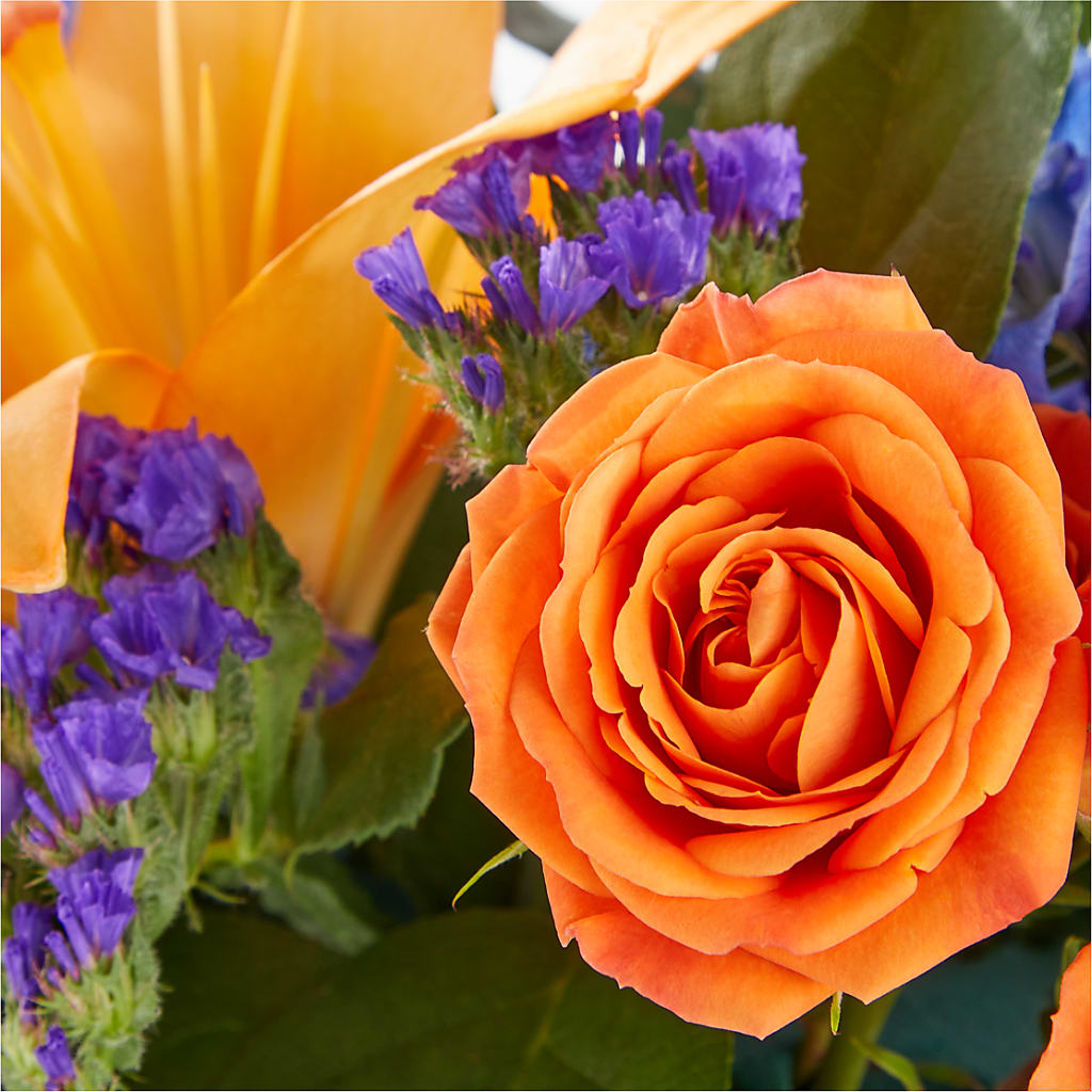 Radiant Citrus Box Bouquet – BELKY'S FLORIST, Rock Hill SC