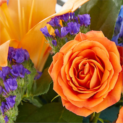 Radiant Citrus Box Bouquet – BELKY'S FLORIST, Rock Hill SC