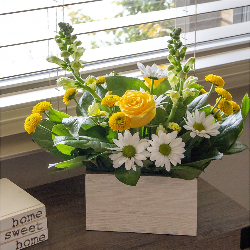 Sun Salutation Box Bouquet – BELKY'S FLORIST, Rock Hill SC