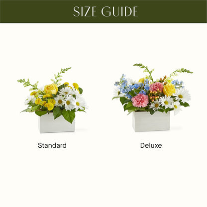 Sun Salutation Box Bouquet – BELKY'S FLORIST, Rock Hill SC