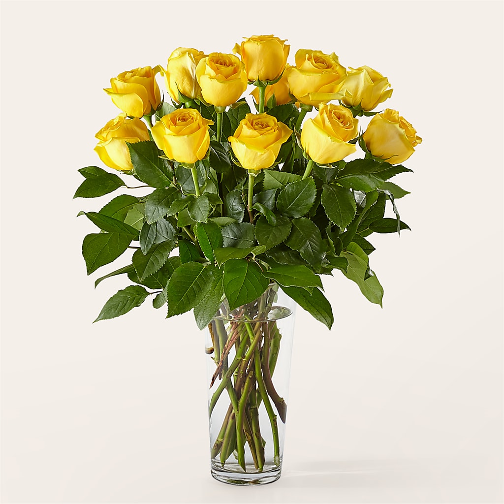 Long Stem Yellow Rose Bouquet – BELKY'S FLORIST, Rock Hill SC