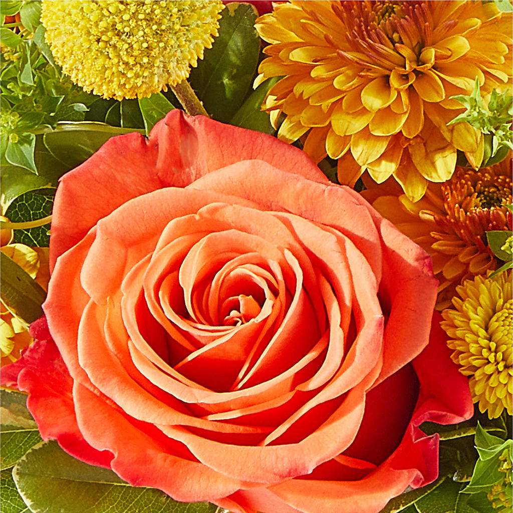 Gourdgeous Pumpkin – BELKY'S FLORIST, Rock Hill SC