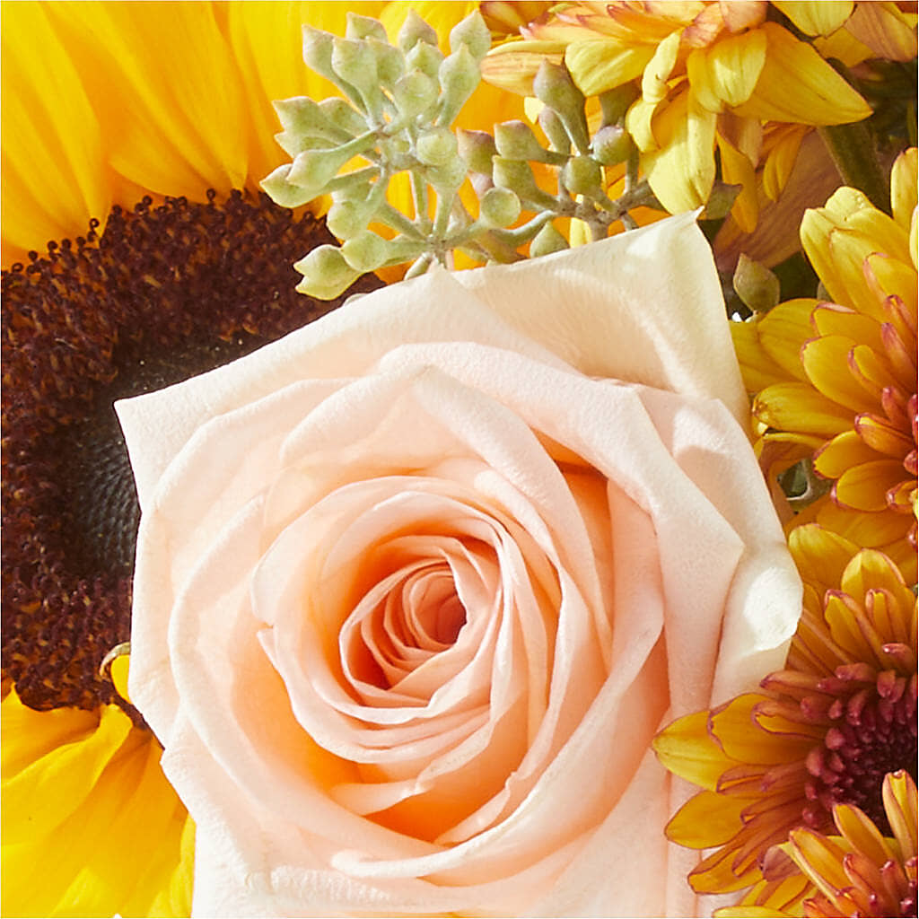 Pumpkin to Talk About Bouquet – BELKY'S FLORIST, Rock Hill SC