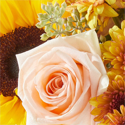Pumpkin to Talk About Bouquet – BELKY'S FLORIST, Rock Hill SC