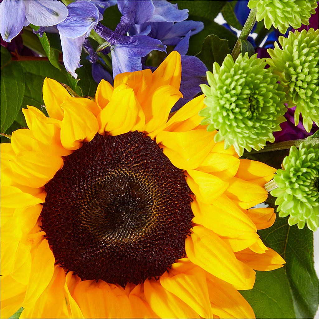 Catching Rays Bouquet – BELKY'S FLORIST, Rock Hill SC