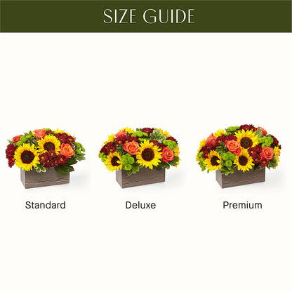 Happy Harvest Garden – BELKY'S FLORIST, Rock Hill SC
