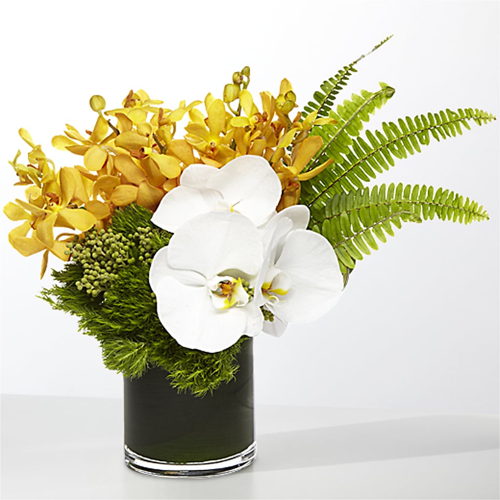 The Tropics – BELKY'S FLORIST, Rock Hill SC