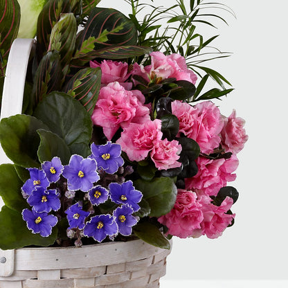 Peaceful Garden Planter – BELKY'S FLORIST, Rock Hill SC