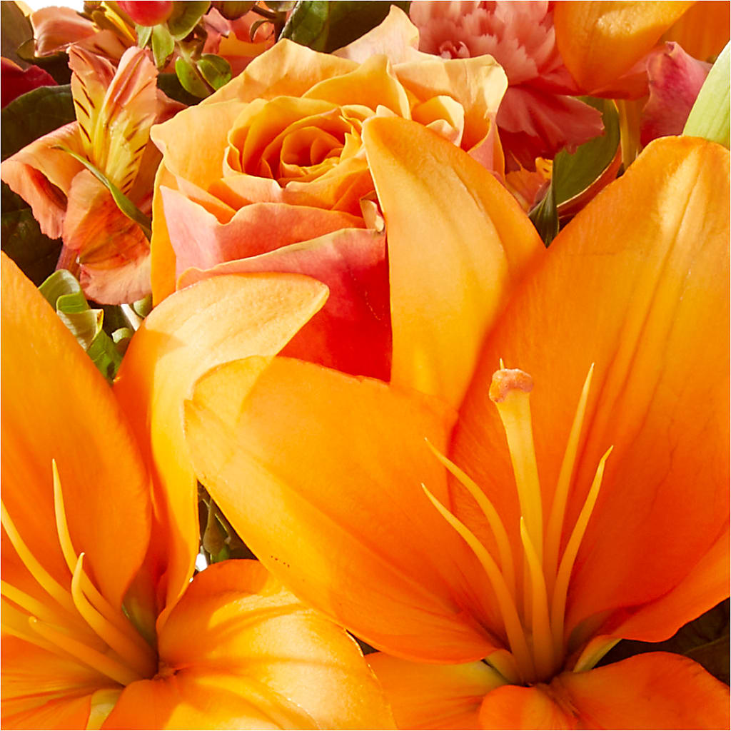 Afternoon Light Bouquet – BELKY'S FLORIST, Rock Hill SC