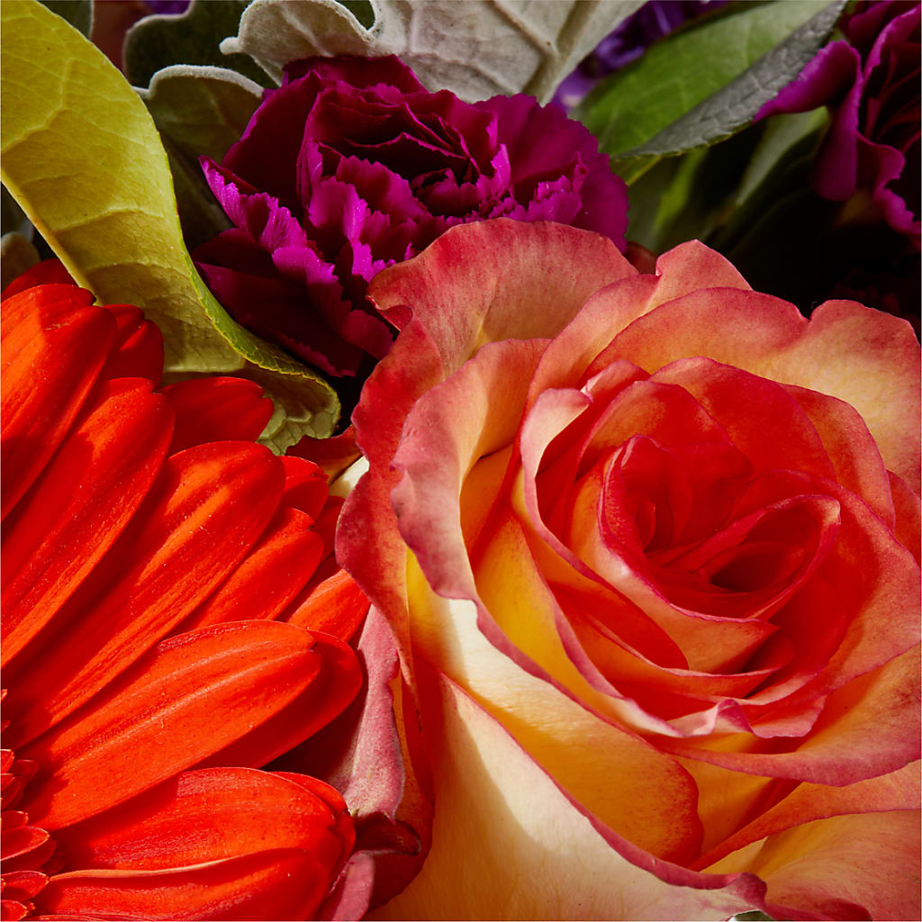 Sangria Bouquet – BELKY'S FLORIST, Rock Hill SC