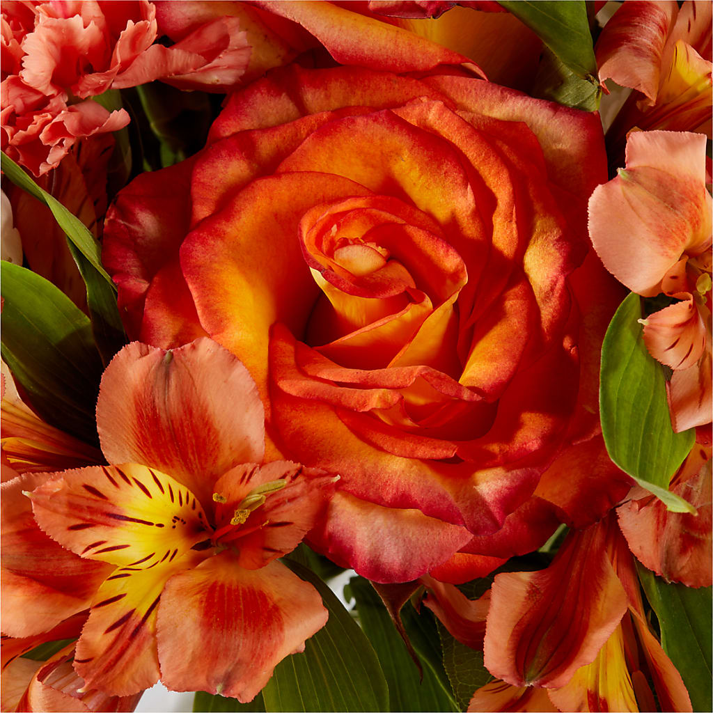 Apricot Glow Bouquet – BELKY'S FLORIST, Rock Hill SC