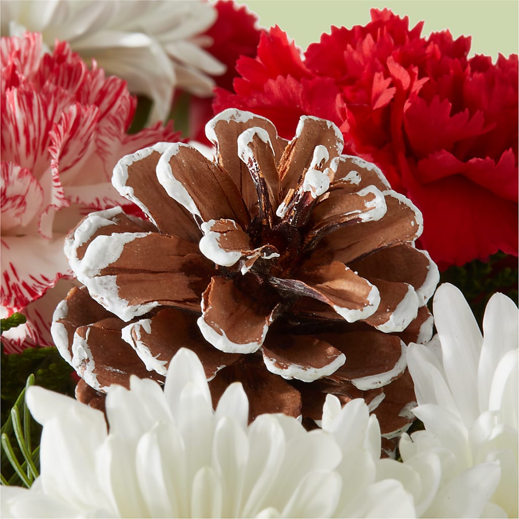 Candy Cane Lane Bouquet – BELKY'S FLORIST, Rock Hill SC