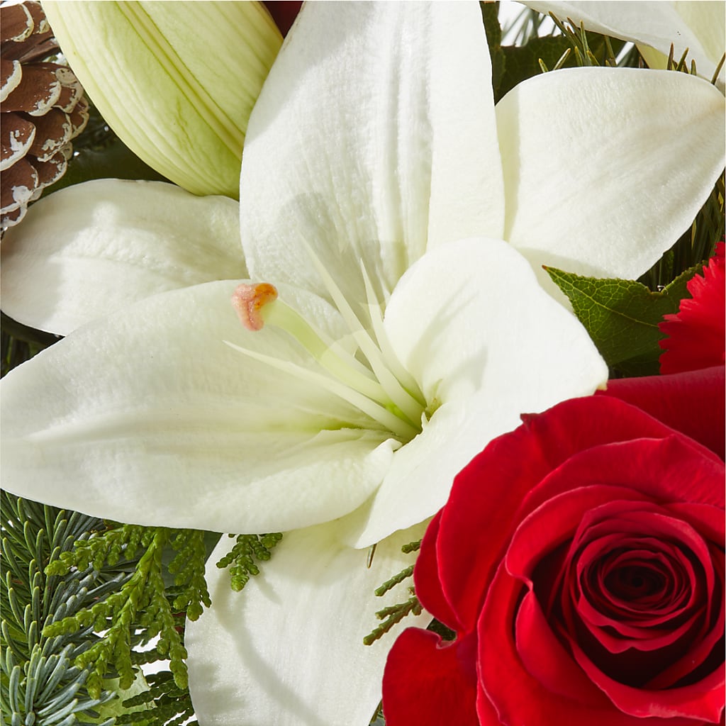Oh So Jolly Bouquet – BELKY'S FLORIST, Rock Hill SC