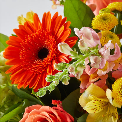 Autumn Sunshine Bouquet – BELKY'S FLORIST, Rock Hill SC