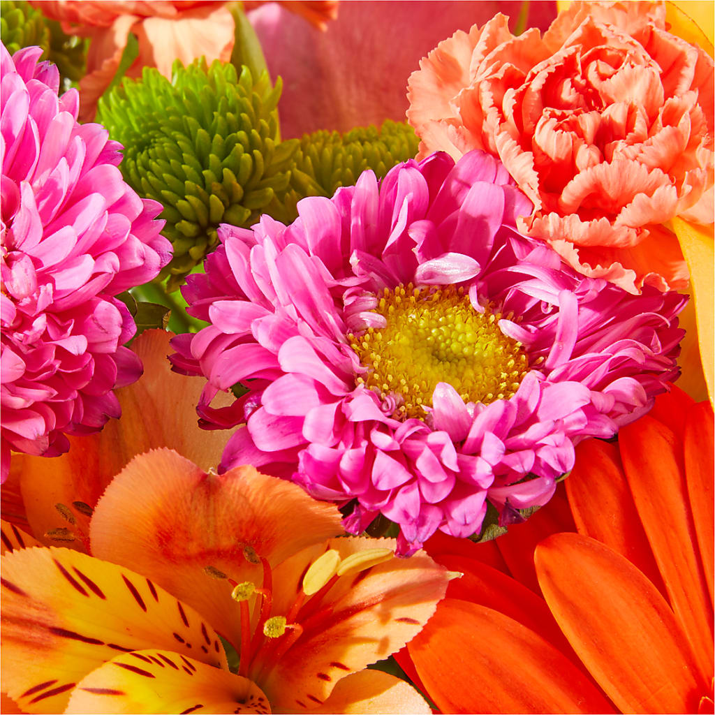 Soiree Bouquet – BELKY'S FLORIST, Rock Hill SC