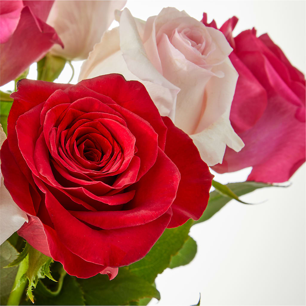 Charming Rose Bouquet – BELKY'S FLORIST, Rock Hill SC