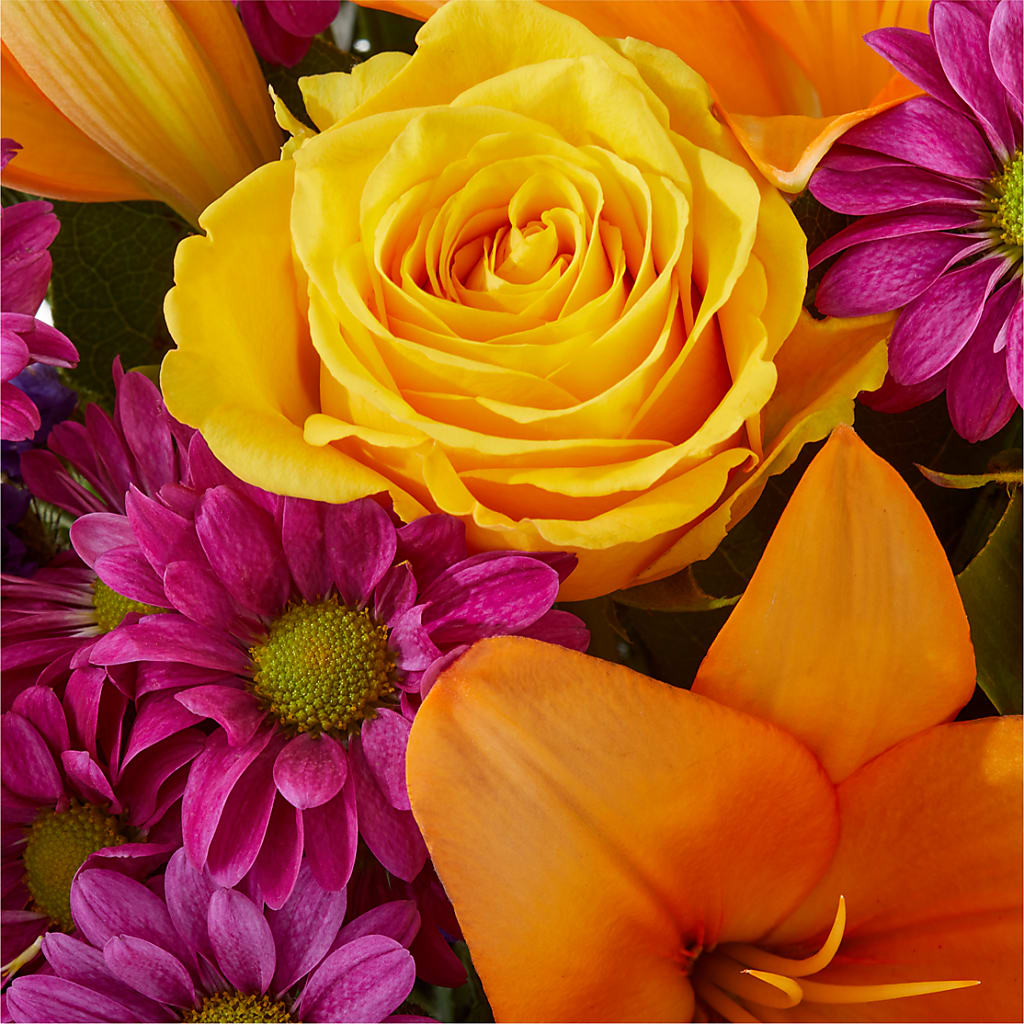 Colorful Visions Bouquet – BELKY'S FLORIST, Rock Hill SC