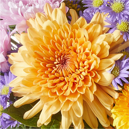 Countryside Bouquet – BELKY'S FLORIST, Rock Hill SC