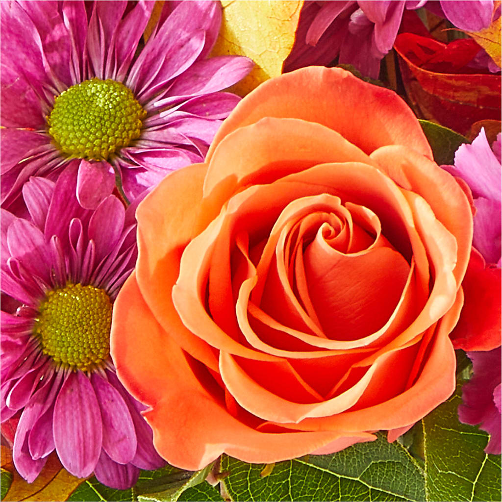Mum's the Word Bouquet – BELKY'S FLORIST, Rock Hill SC