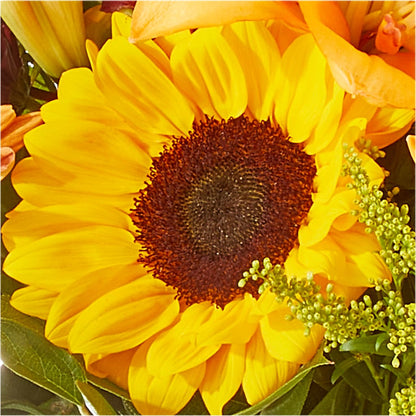 Seasons Change Bouquet – BELKY'S FLORIST, Rock Hill SC