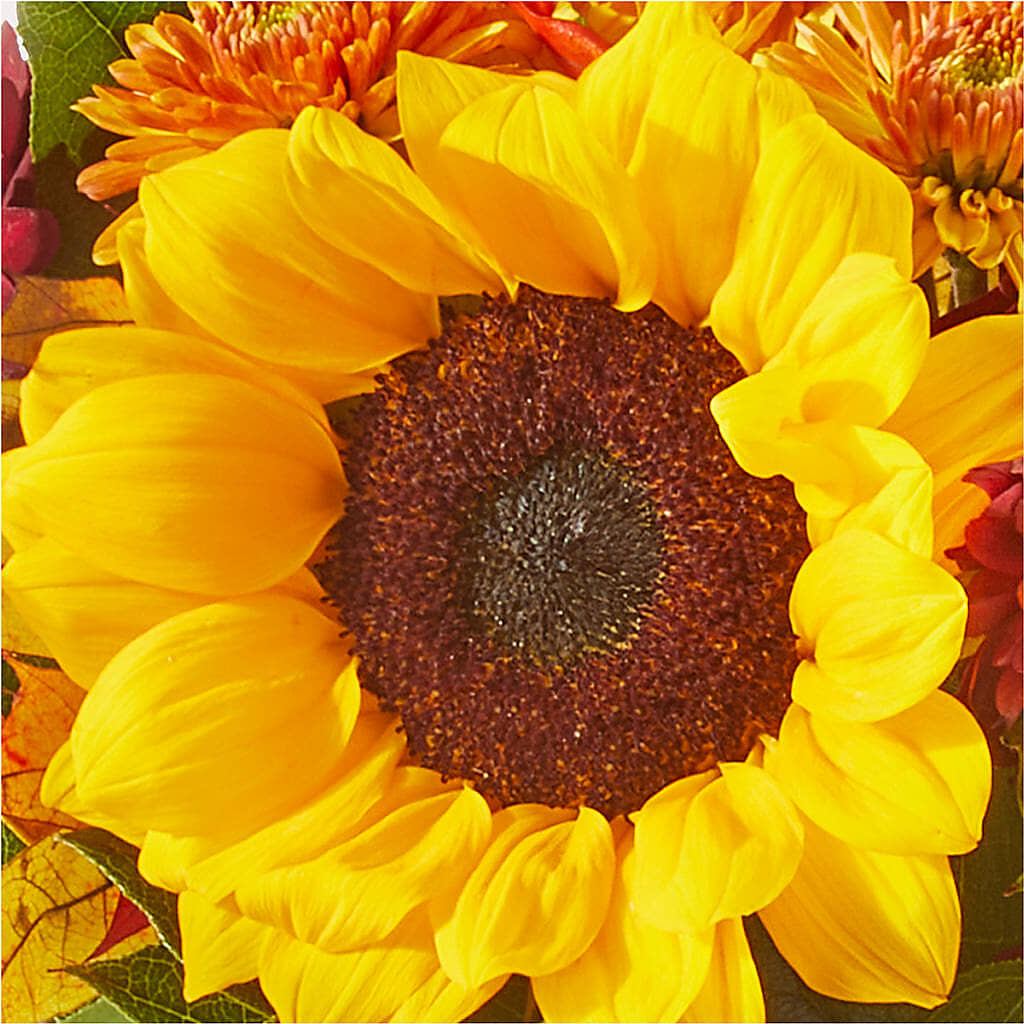 Sunny Side Bouquet – BELKY'S FLORIST, Rock Hill SC