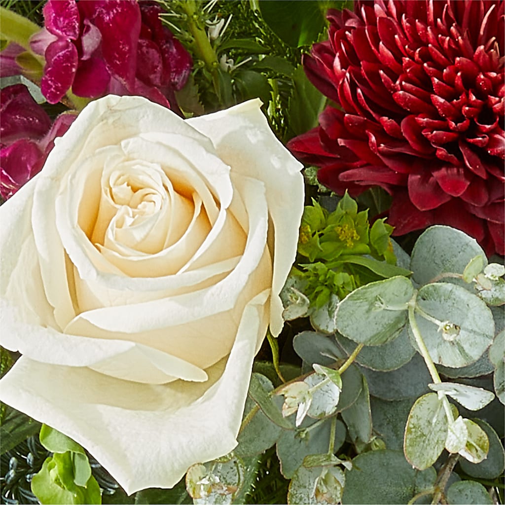 Cranberry Fizz Bouquet – BELKY'S FLORIST, Rock Hill SC