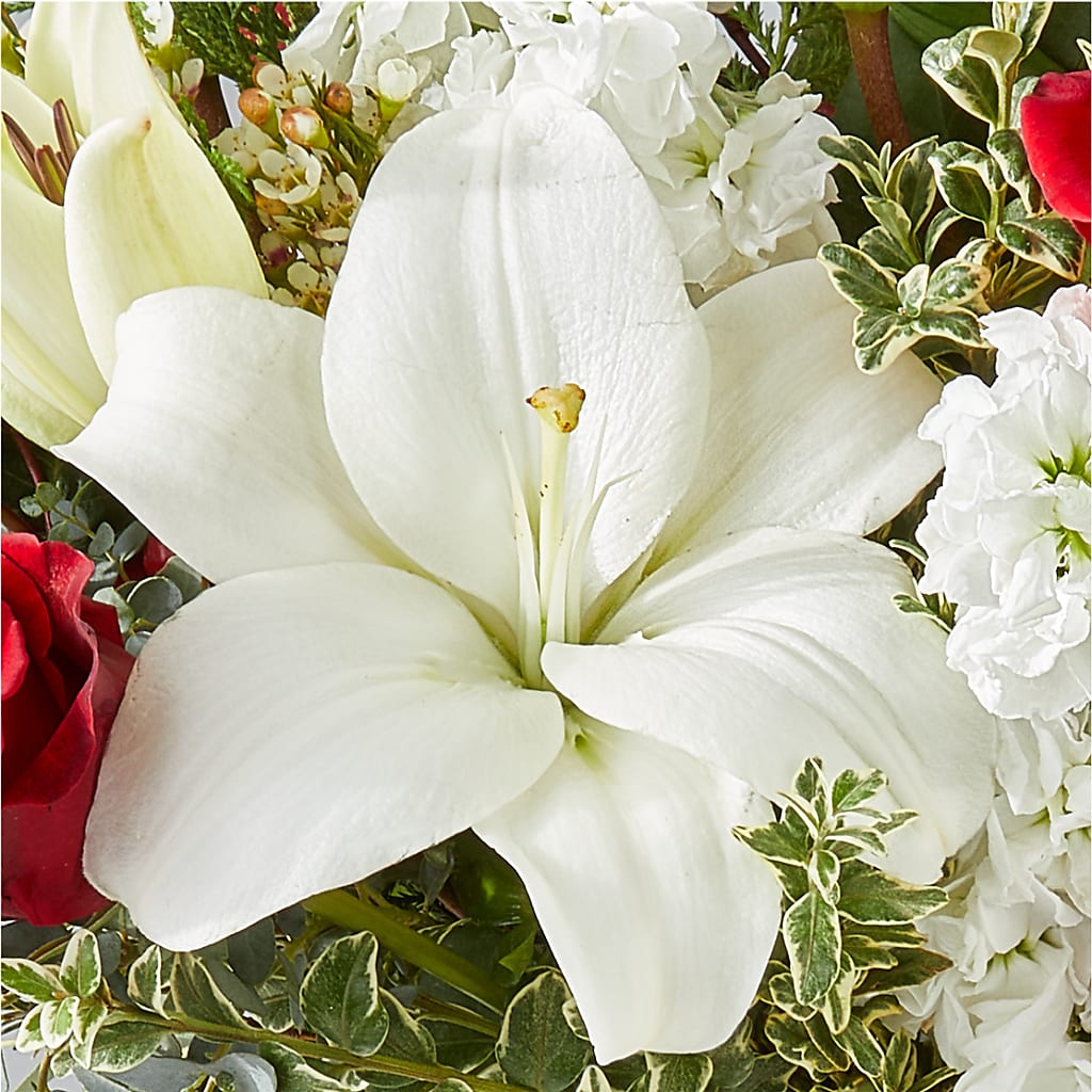 Twinkle Lights Bouquet – BELKY'S FLORIST, Rock Hill SC
