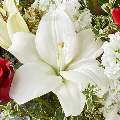 Twinkle Lights Bouquet – BELKY'S FLORIST, Rock Hill SC