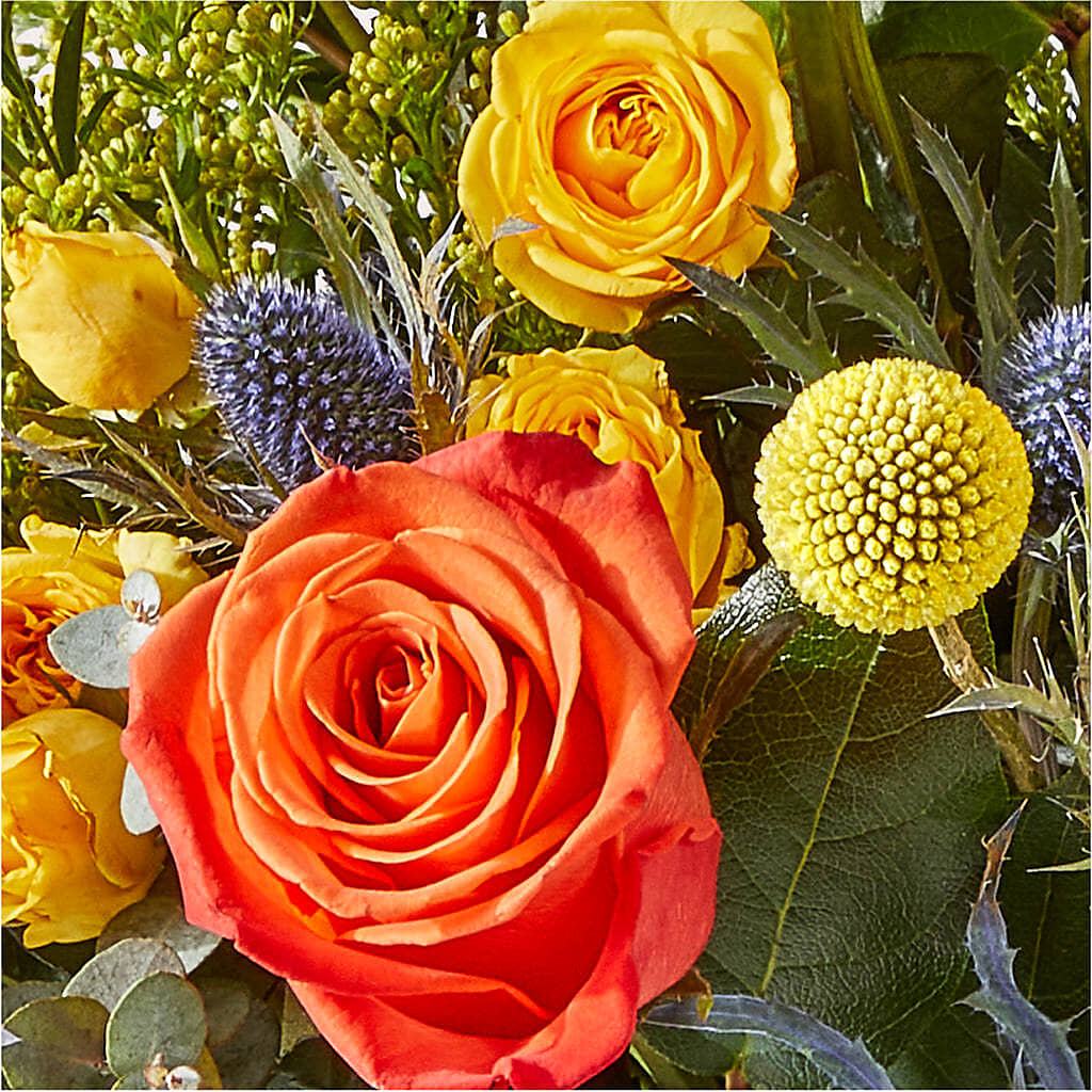 Disco Bouquet – BELKY'S FLORIST, Rock Hill SC