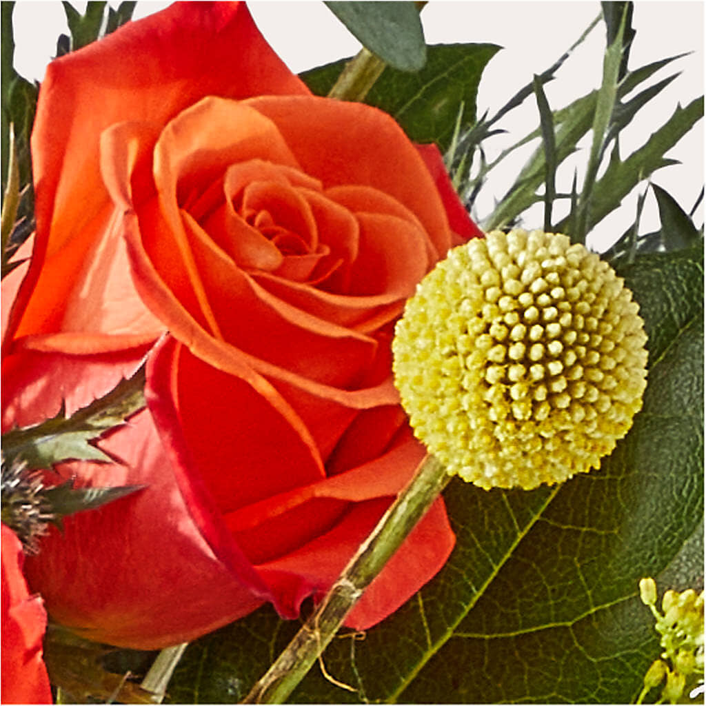 Disco Bouquet – BELKY'S FLORIST, Rock Hill SC