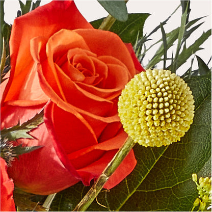 Disco Bouquet – BELKY'S FLORIST, Rock Hill SC