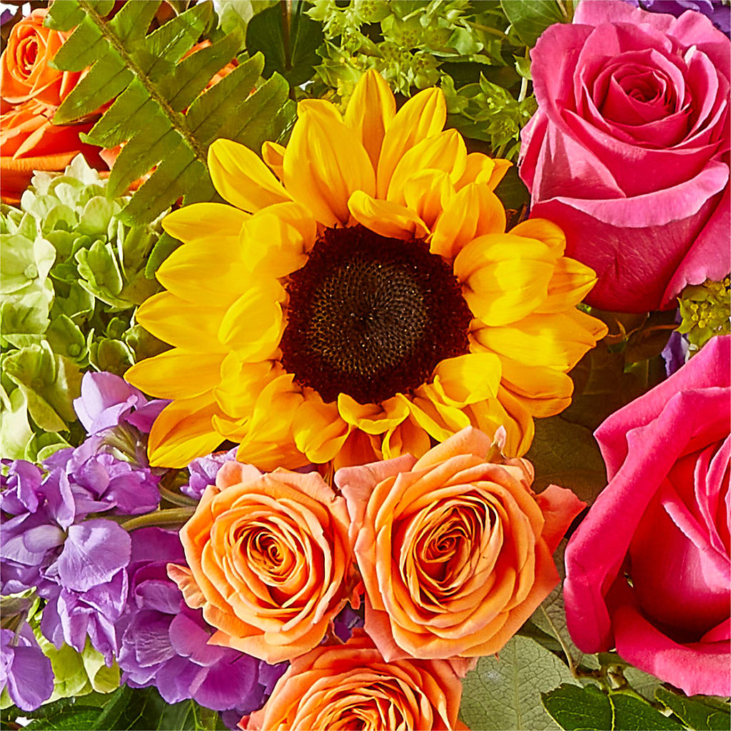 Vibrant Greetings Bouquet – BELKY'S FLORIST, Rock Hill SC