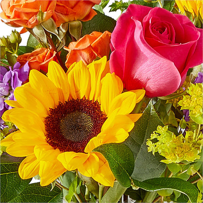 Vibrant Greetings Bouquet – BELKY'S FLORIST, Rock Hill SC