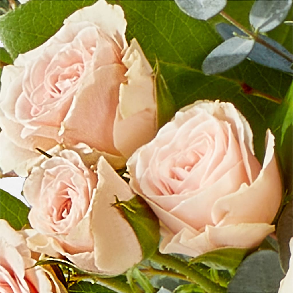 Inspired Bouquet – BELKY'S FLORIST, Rock Hill SC