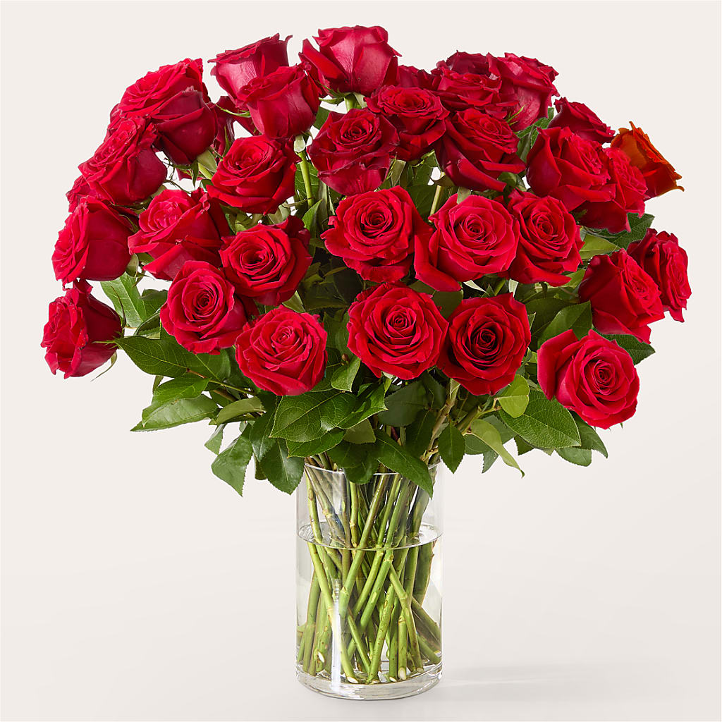 The One Red Rose Bouquet – BELKY'S FLORIST, Rock Hill SC