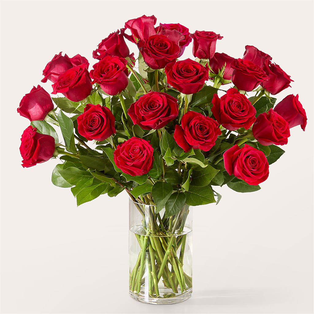 The One Red Rose Bouquet – BELKY'S FLORIST, Rock Hill SC