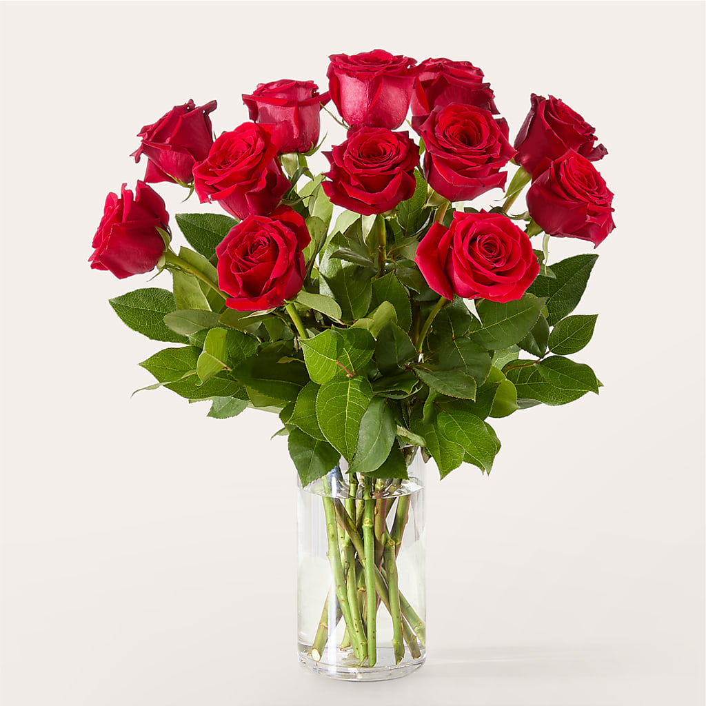 The One Red Rose Bouquet – BELKY'S FLORIST, Rock Hill SC