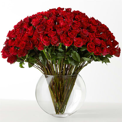 The Idealist – BELKY'S FLORIST, Rock Hill SC