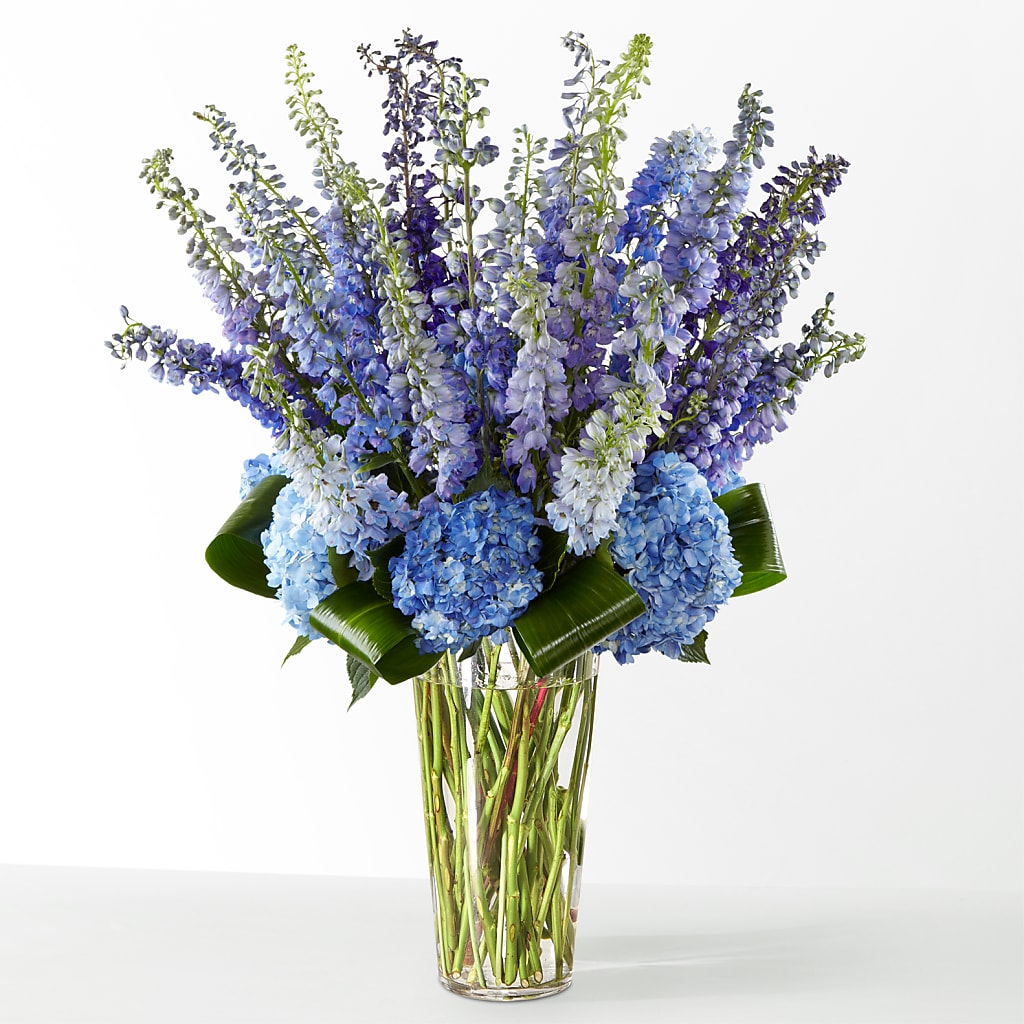 The Editorial – BELKY'S FLORIST, Rock Hill SC